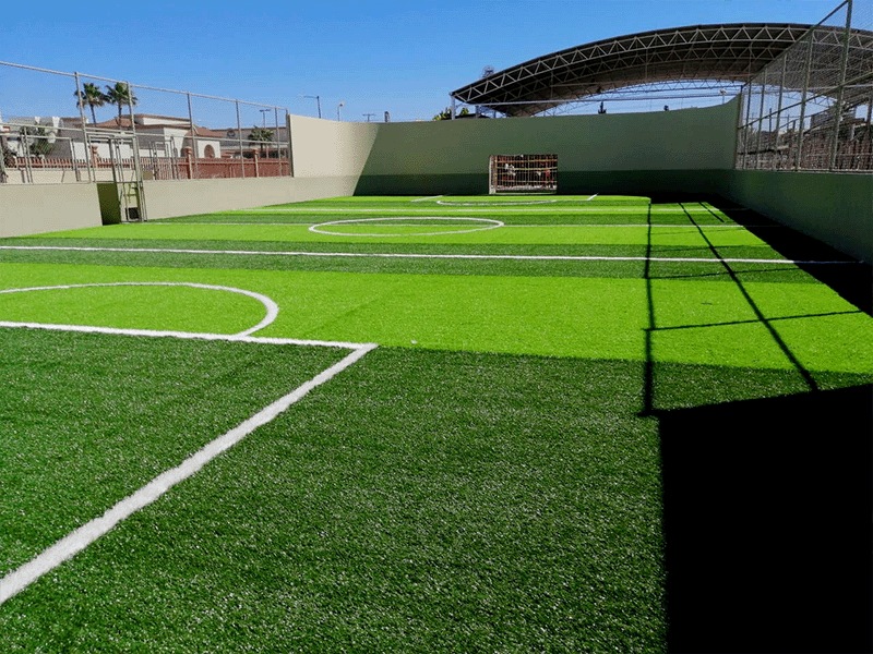 ملاعب عشبية متعددة الرياضات