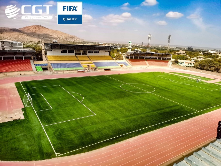 الشركة المصنعة للعشب الصناعي المخصص