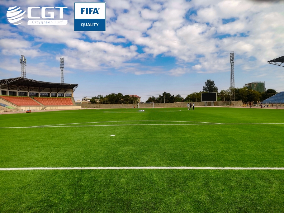 مورد العشب الاصطناعي عالي الجودة من FIFA